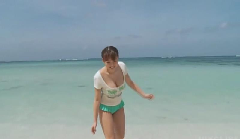 四季荷塘-性感美女沙滩泳装写真DJ视频_中文舞曲